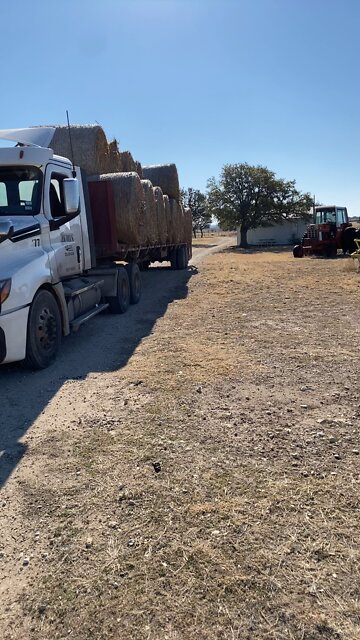 I think they are hungry