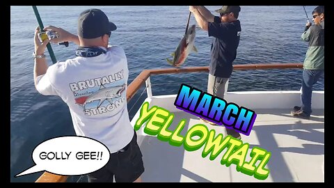 (35) 03/03/2017 - Drew's Yellowtail taken aboard the New Seaforth.