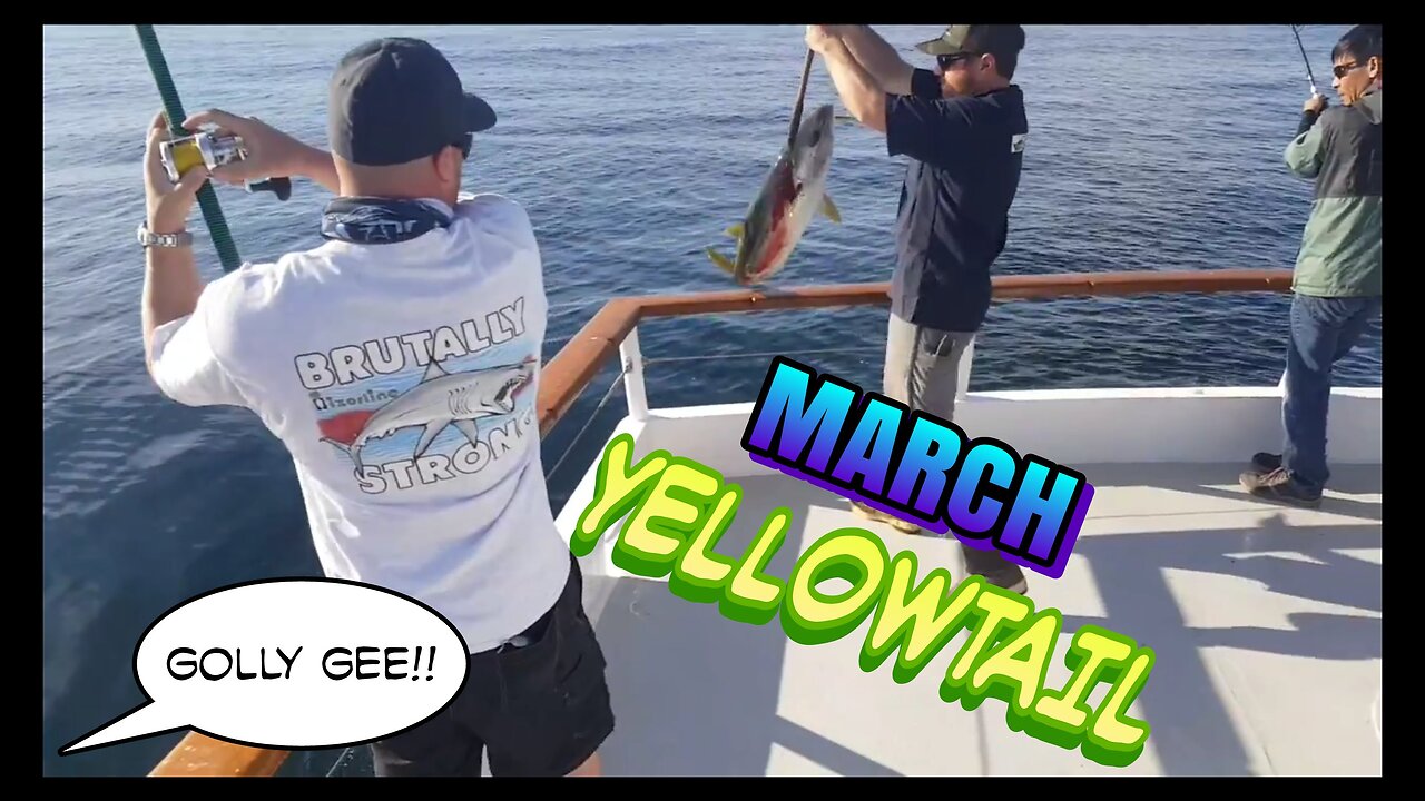 (35) 03/03/2017 - Drew's Yellowtail taken aboard the New Seaforth.