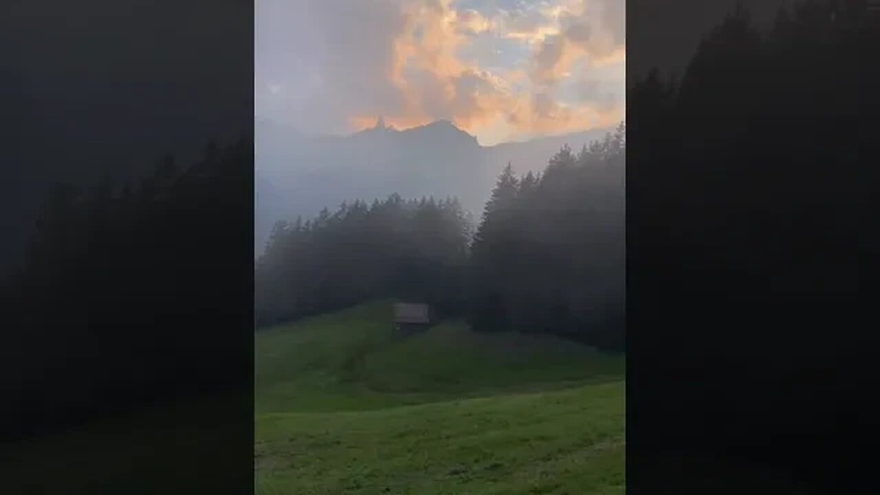 Evening Mist tiktok licciy