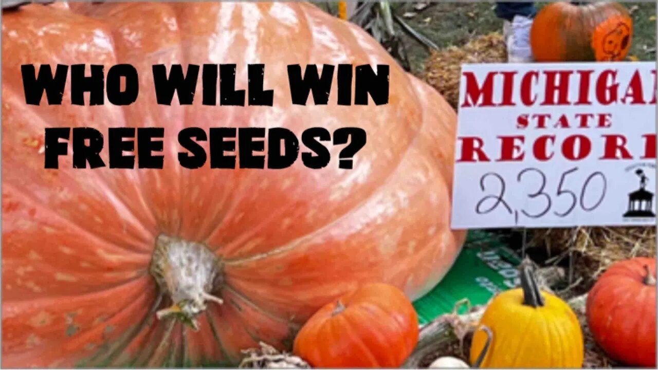 California Pumpkin Trip (Seed giveaway)