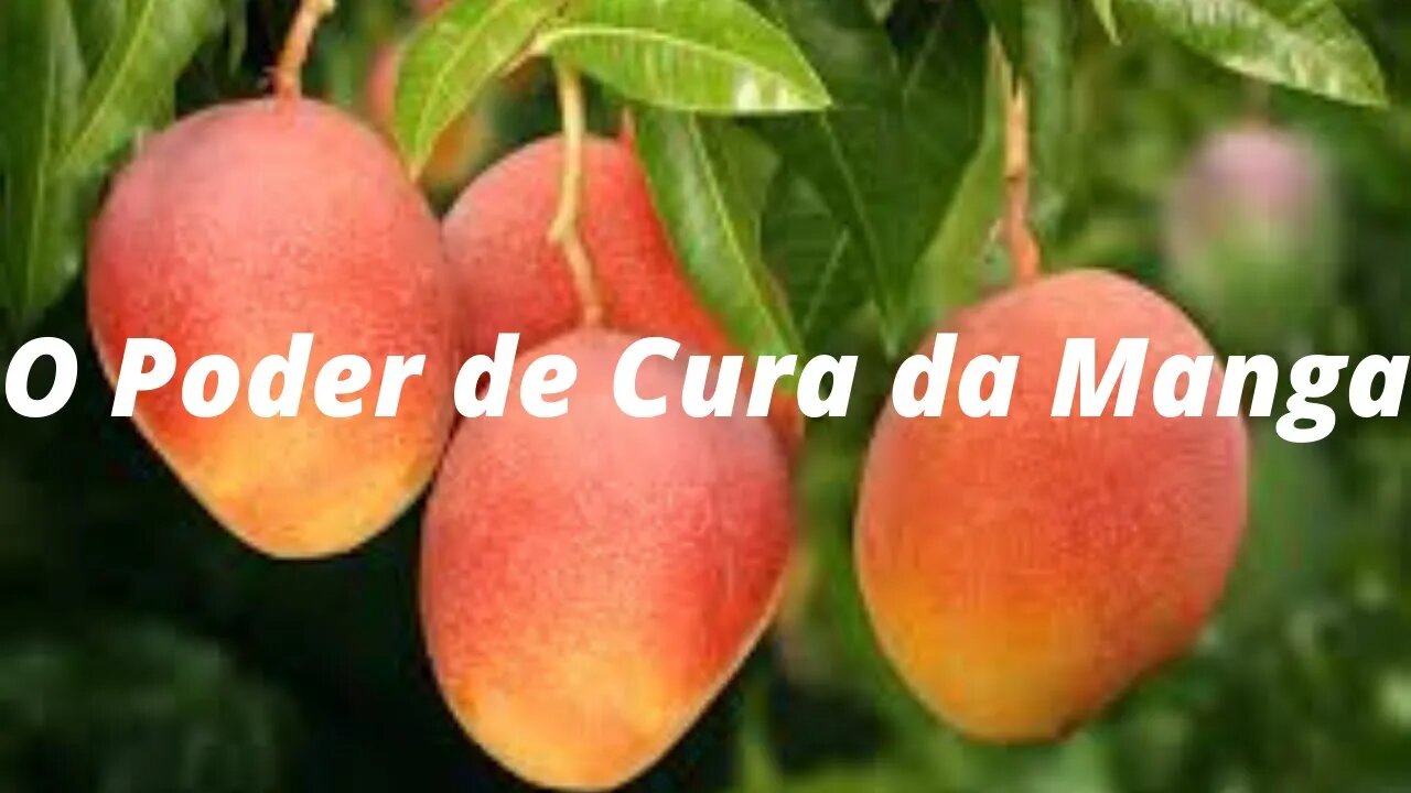 O Poder de Cura da Manga - Manga: 11 Benefícios da Fruta para a Saúde (Com Receitas)