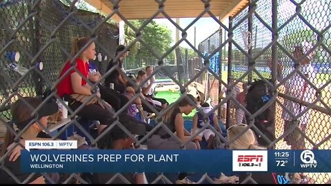 Wellington softball two wins away from a state title