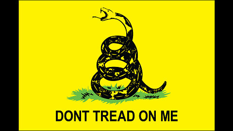 Gadsden flag and a child courage King Trump retire Mitch and impeachment