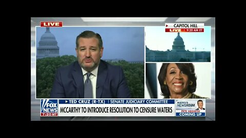 Sen. Cruz: Democrats are Encouraging Violent Protests Because It Serves Their Political Ends