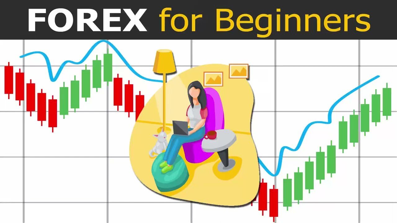 Forex Trading Journey for Beginners