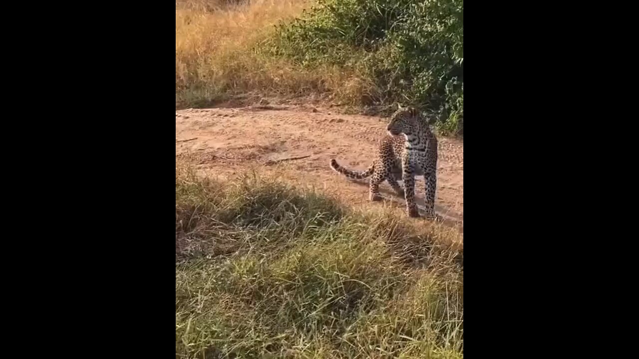 stand up please