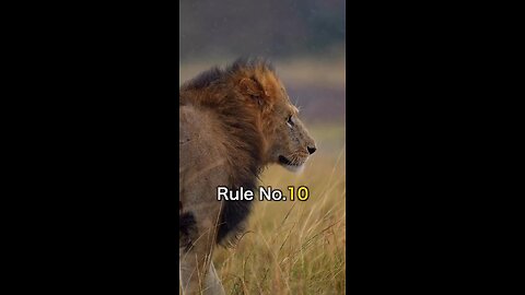 Sher jangal ka Raja hota hai