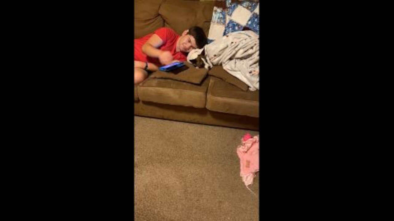 Noah uses Princess for a pillow