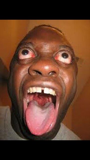 New Funny and Fail Videos 2023 😂 Cutest People Doing Funny Things Try not to laugh