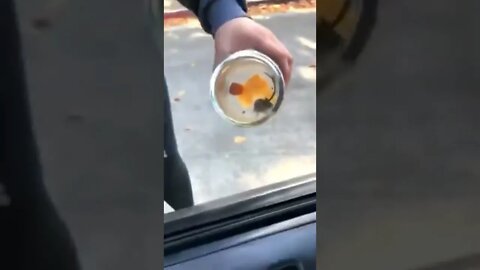A little jumpy boi