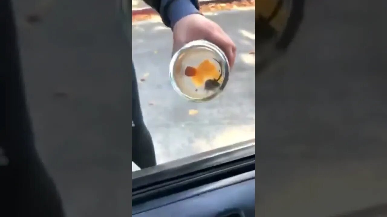 A little jumpy boi