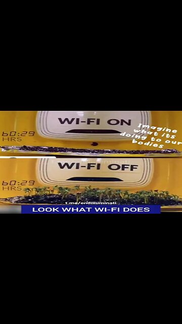 Look what WI-FI does to the plants