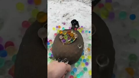 trending shorts video for Entertain Your Mood #shorts #trending #viral #youtube #blackshorts