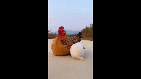 friendship
