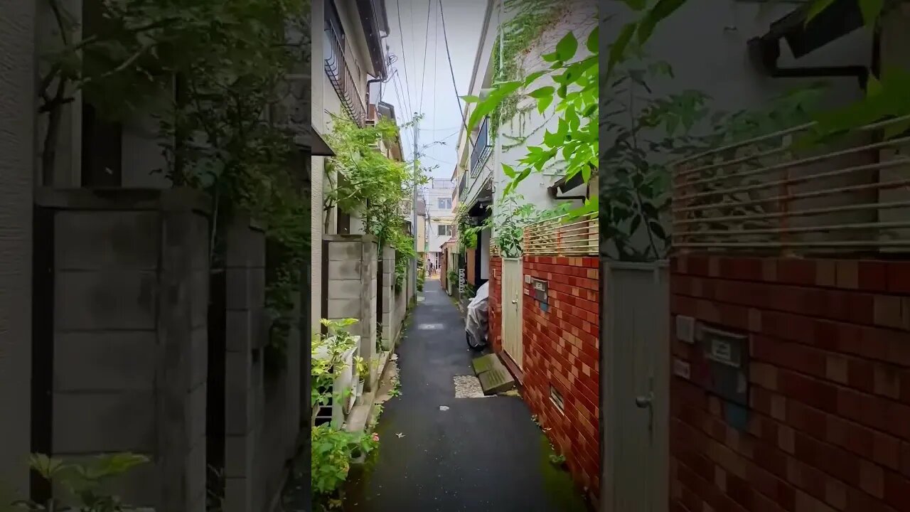 Neighborhood Alley, Tokyo, Japan✨