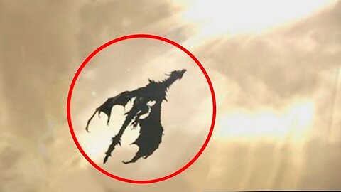 real dragon capture in camera Footage at end#mythicalcreature