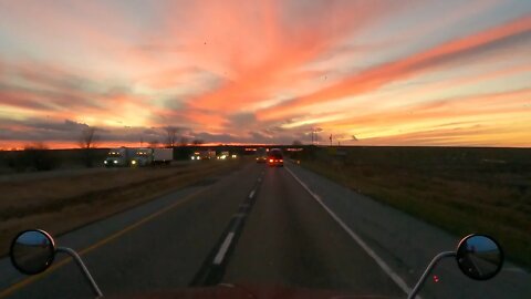 Another beautiful sunset, and Milo how did you get up there?