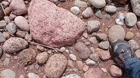 Primorskoe Highway along Finland Bay