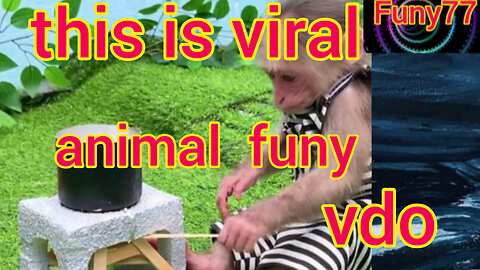 viral animal vdo,,don't miss this vdo