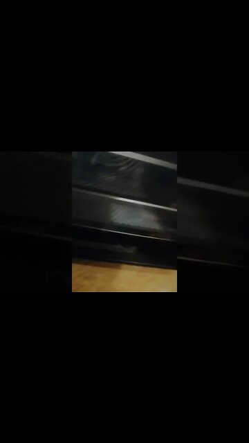 Bacon jerky dehydrator test run