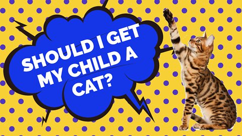 Should I get my child a cat?