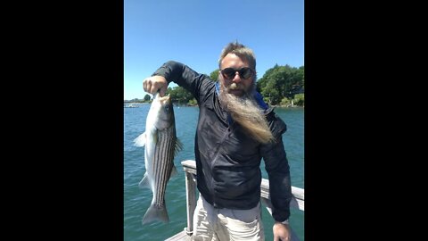 We catch two big striped bass on Great Diamond Island Maine