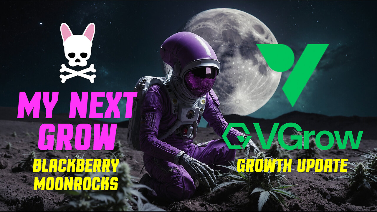 Blackberry Moonrocks Growth Update - Trick or Treat? - Vivosun - VGrow All-In-One Smart Grow Box