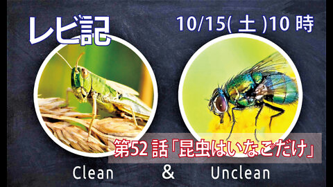 ｢昆虫はいなごだけ｣(レビ11.20-23)みことば福音教会2022.10.15(土)