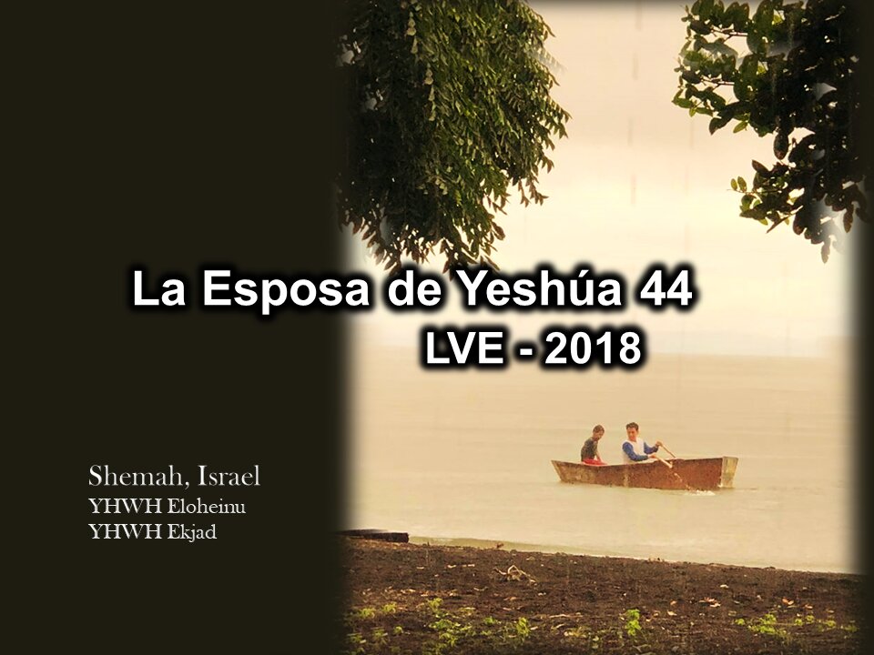 La Esposa de Yeshúa 44 - YHWH Ekjad 23 - La Nueva Medicina 5