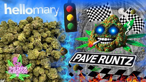 Trying Pave Runtz THCa Smalls from ShopHelloMary! The Dank Flamingo Cannabis Review!!