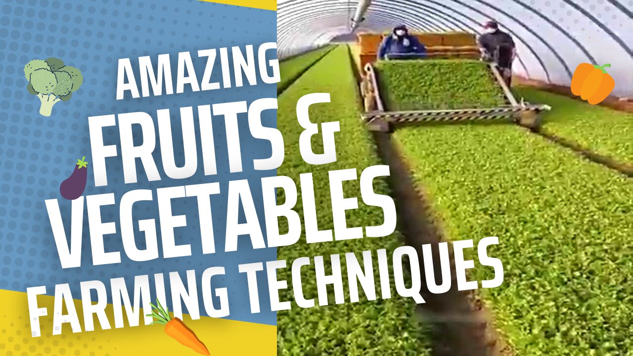 The Most Amazing Fruits and Vegetables Farming Technique