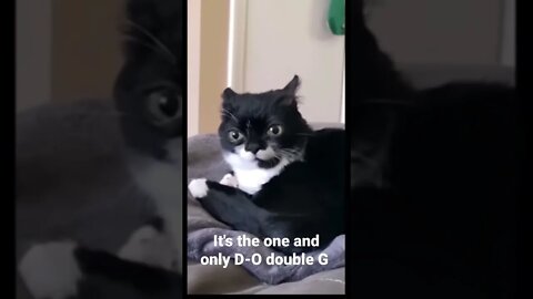 MEME is the one and only D-O double G #shorts