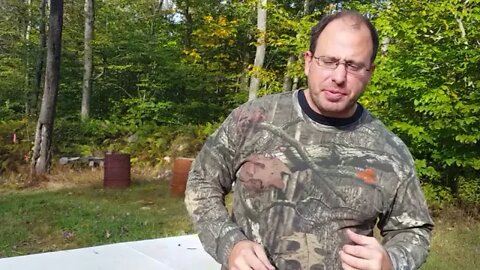 Freedom of Speech vs. Gun Rights limitations