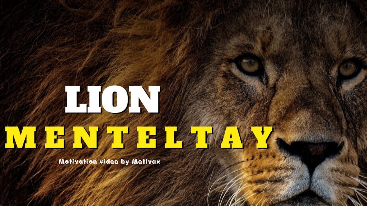 "Becoming the King of Your Jungle: The Lion Mentality"