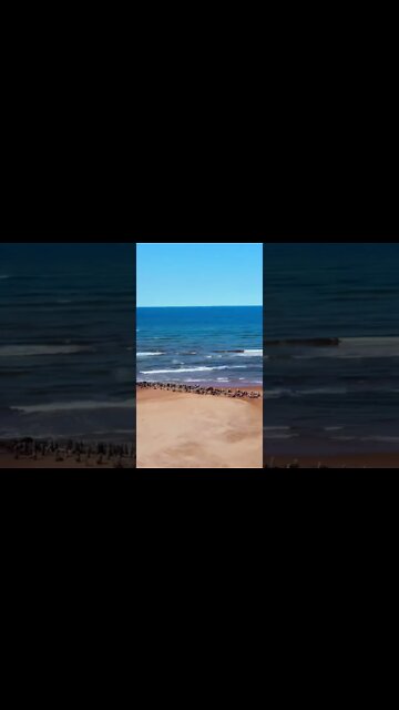 Drone view of the ocean behind us