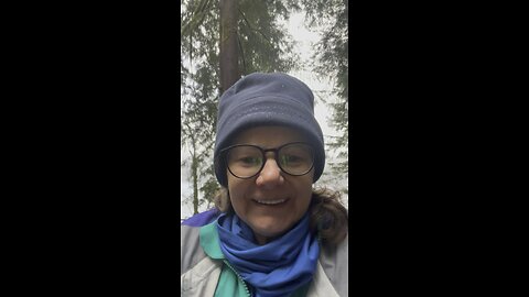 wild life in the mountains
