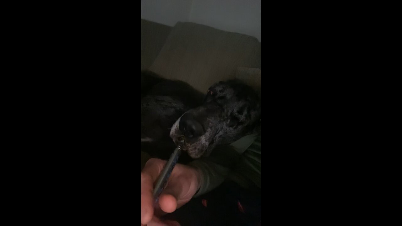 I shit you not...