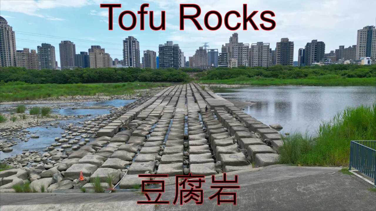 The Tofu Rocks