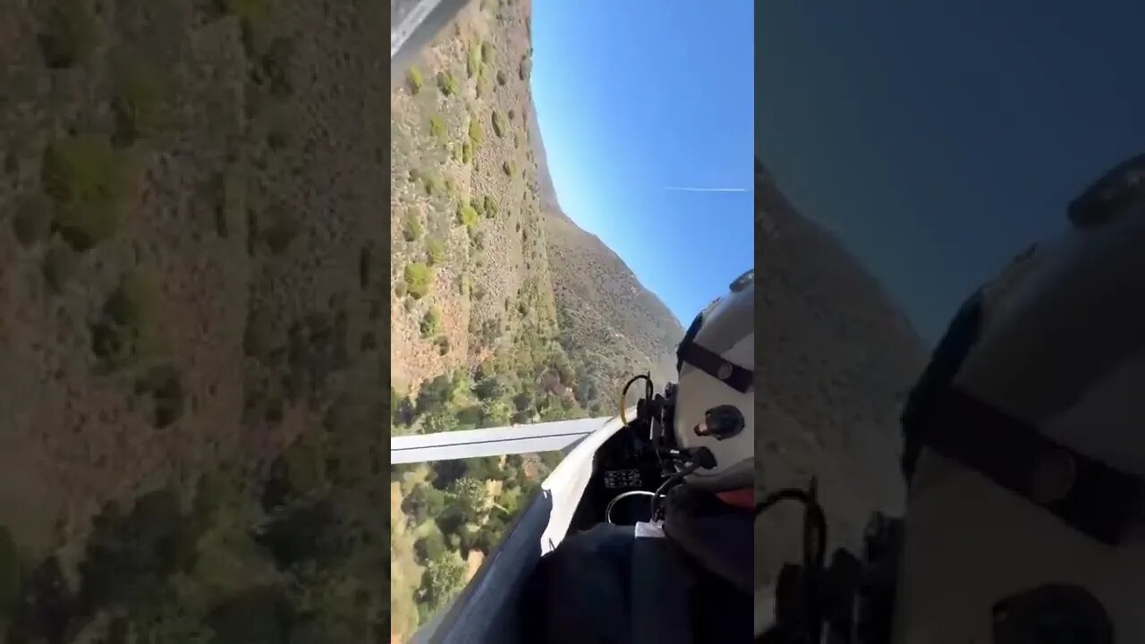 feel free