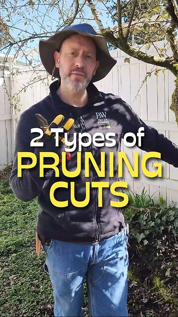 The 2 Pruning Cuts You Need to Know!
