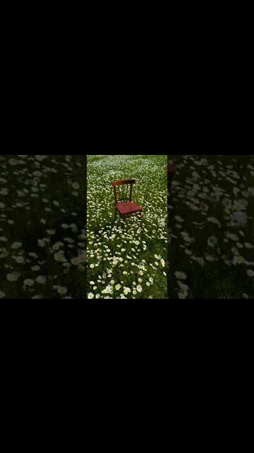 Best Relaxing Sound & Video | Ambient | #shorts