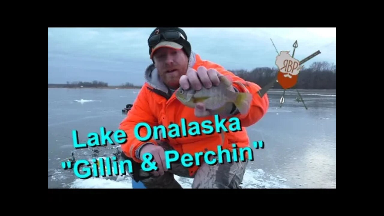 Lake Onalaska, Gills & Perch Fishing! | Wisconsin Ice Fishing