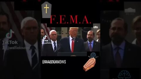 F.E.M.A.