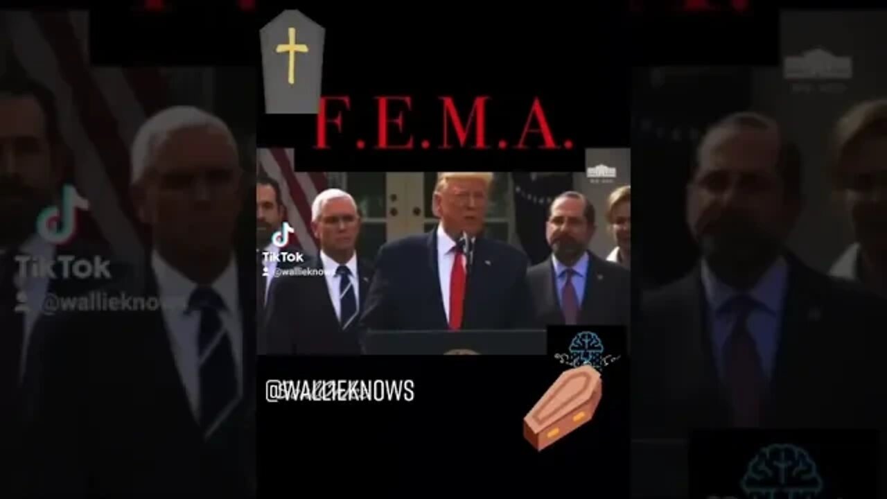 F.E.M.A.