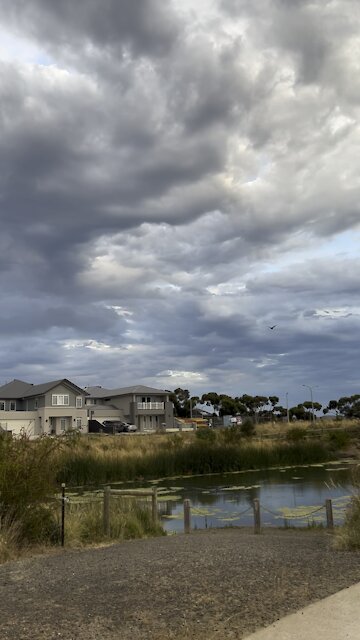 They are ready to go soon. I will miss them.