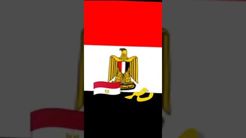 الشيخ الشعراوى 🤍