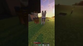 Minecraft 1.19 Realms New Shaders & Mods Survival Multiplayer Series Java SMP (Join Discord for IP!)