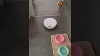 XIAOMI ROBOT VACUUM MOP 2S ROBOT ASPIRADOR Y FREGASUELOS CON SISTEMA INTELIGENTE DE NAVEGACION