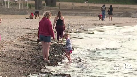 Ohio tackles harmful algae blooms in Lake Erie